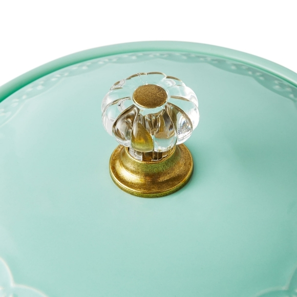 ❤️ New Pioneer Woman Sweet Romance Teal Gingham Onion Keeper with Lid - Picture 7 of 8